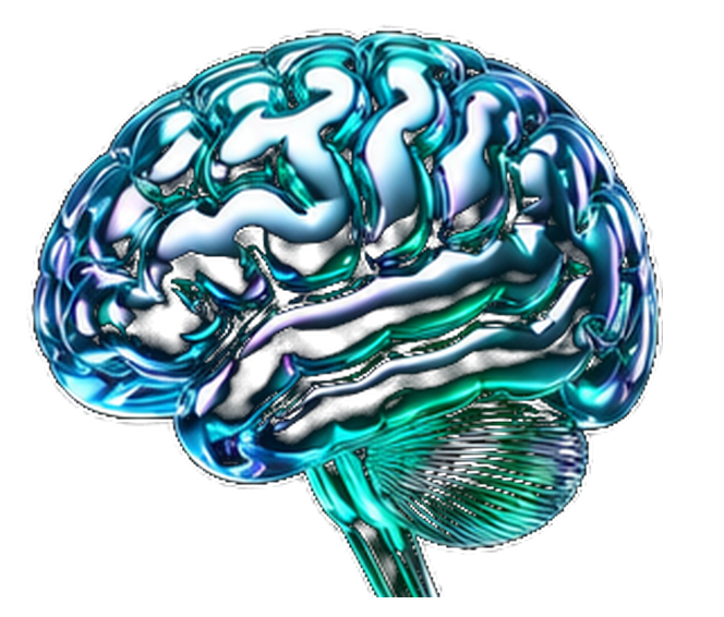 A chrome-and-teal brain, representing understanding